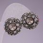 Earrings 2 cm Rainbow around gray crystals